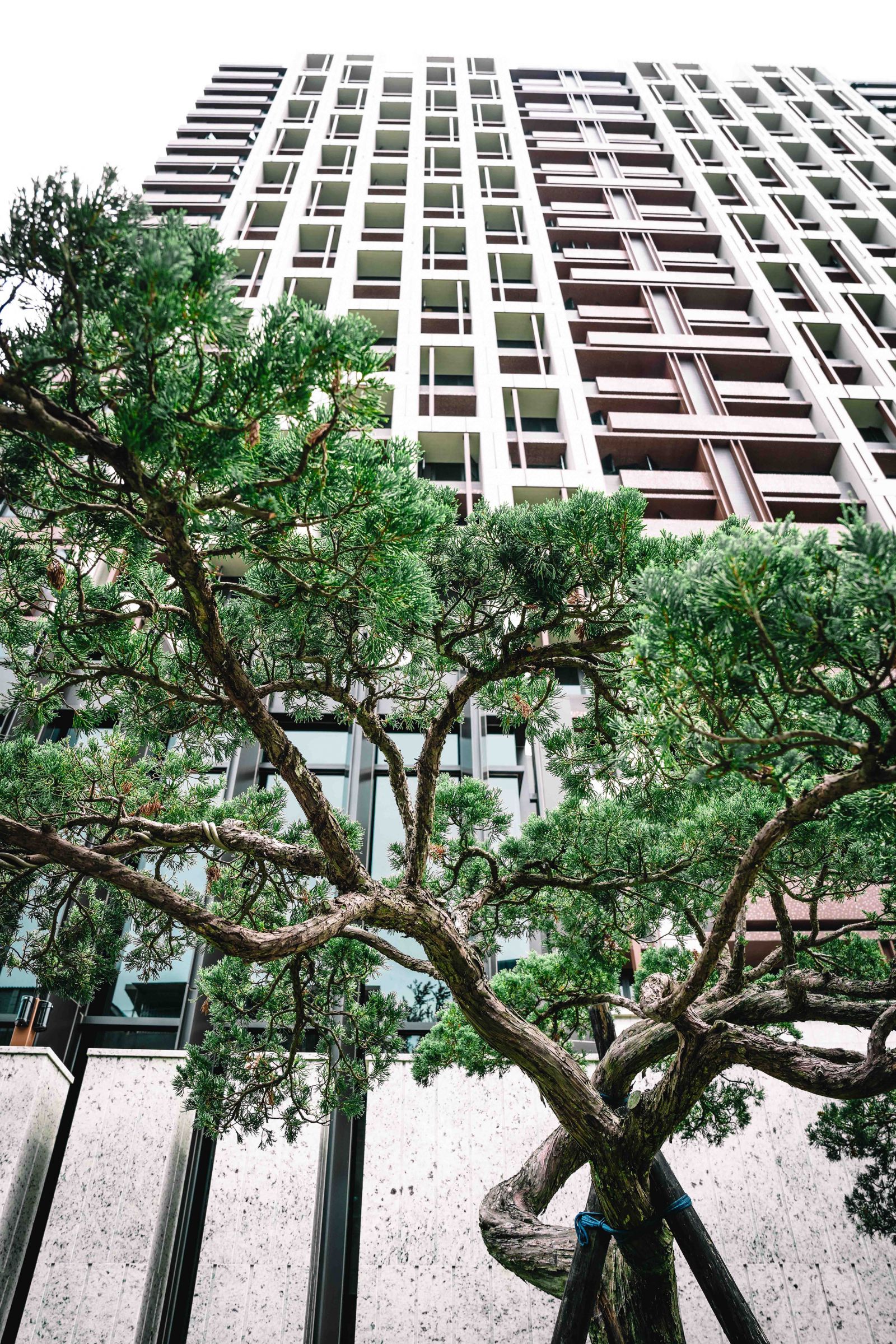 「富都新庄」住宅景观设计丨中国台湾丨金以容,林弘壹,朱弘楠建筑师事务所-5