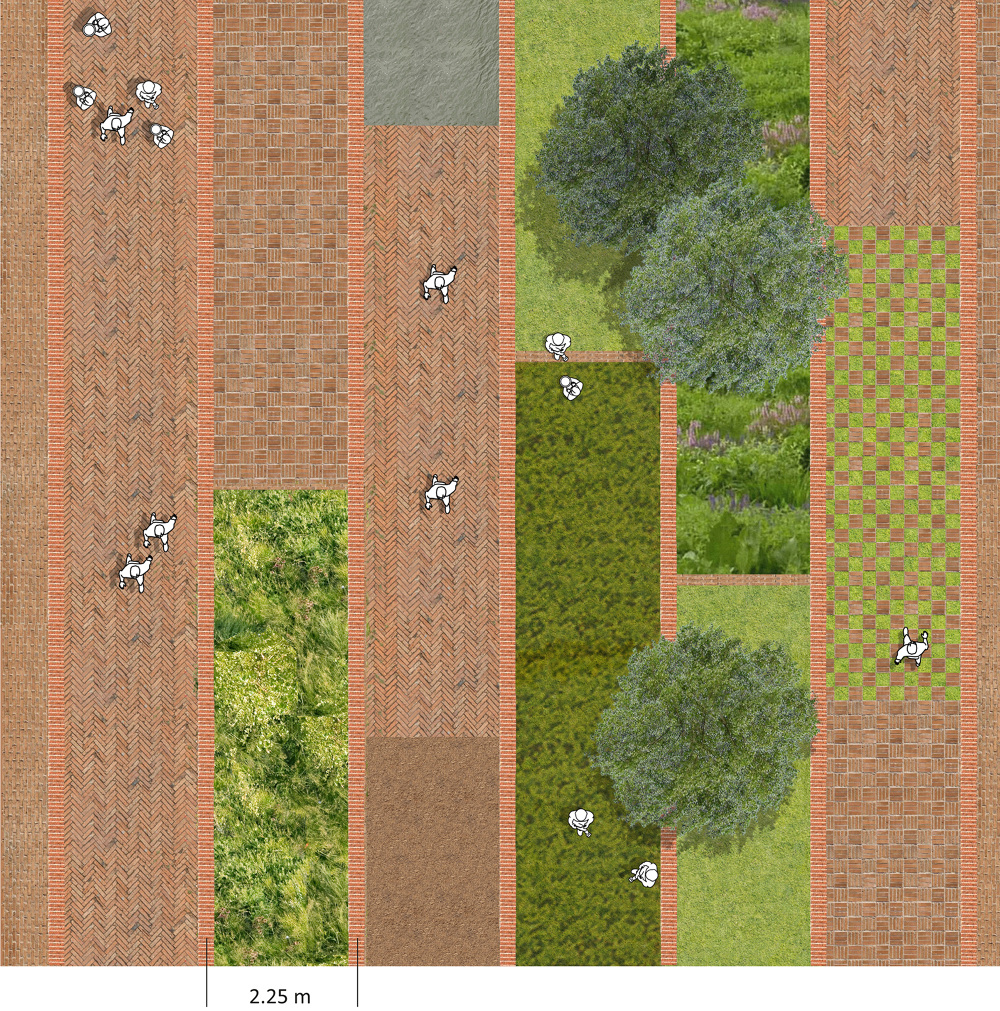 绿意盎然的语言之家·以色列里雄莱锡安“希伯来之家”-10