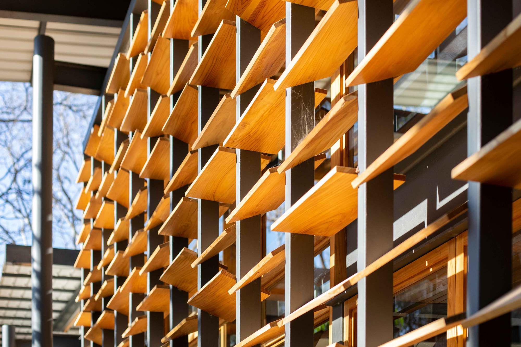 丛林框架房屋-31