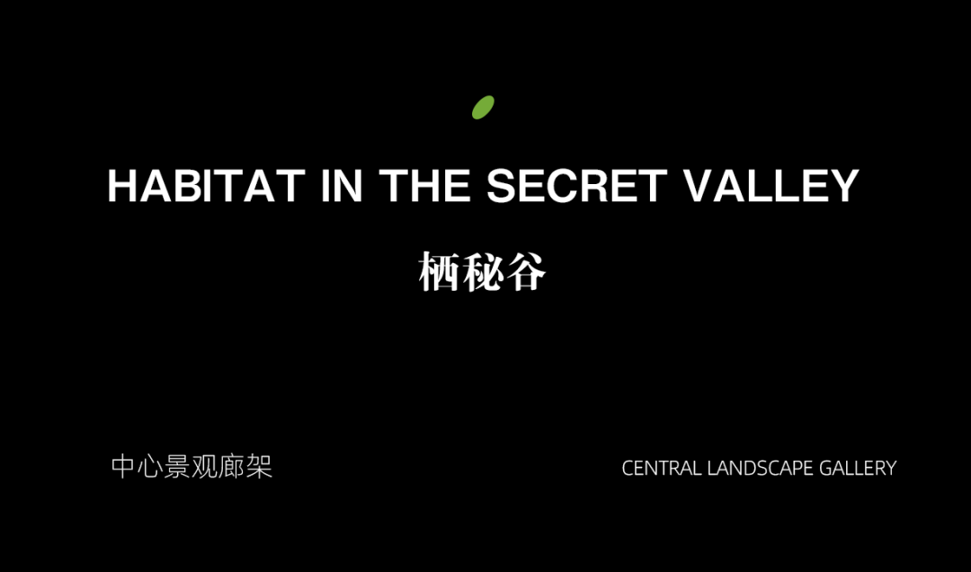 MUSUN·融信·展望轩丨中国杭州丨木杉景观-27