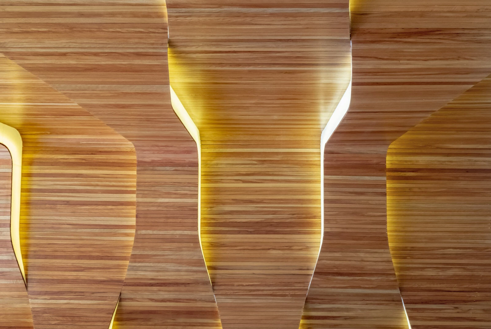 Mare Nostrum 公寓丨厄瓜多尔丨Leppanen + Anker architects-19