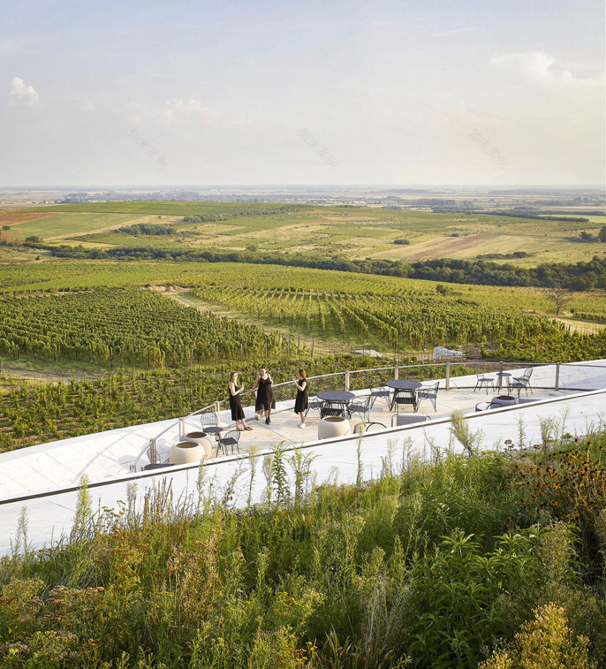 Sauska Tokaj酿酒厂,匈牙利 / BORD Architectural Studio-104