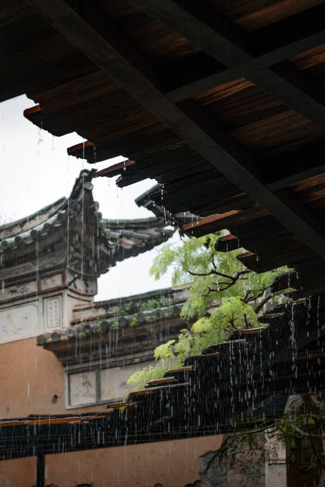 场所的诗学:老院子与风土的共生(山丘花园)丨中国大理丨桐里空间设计-14