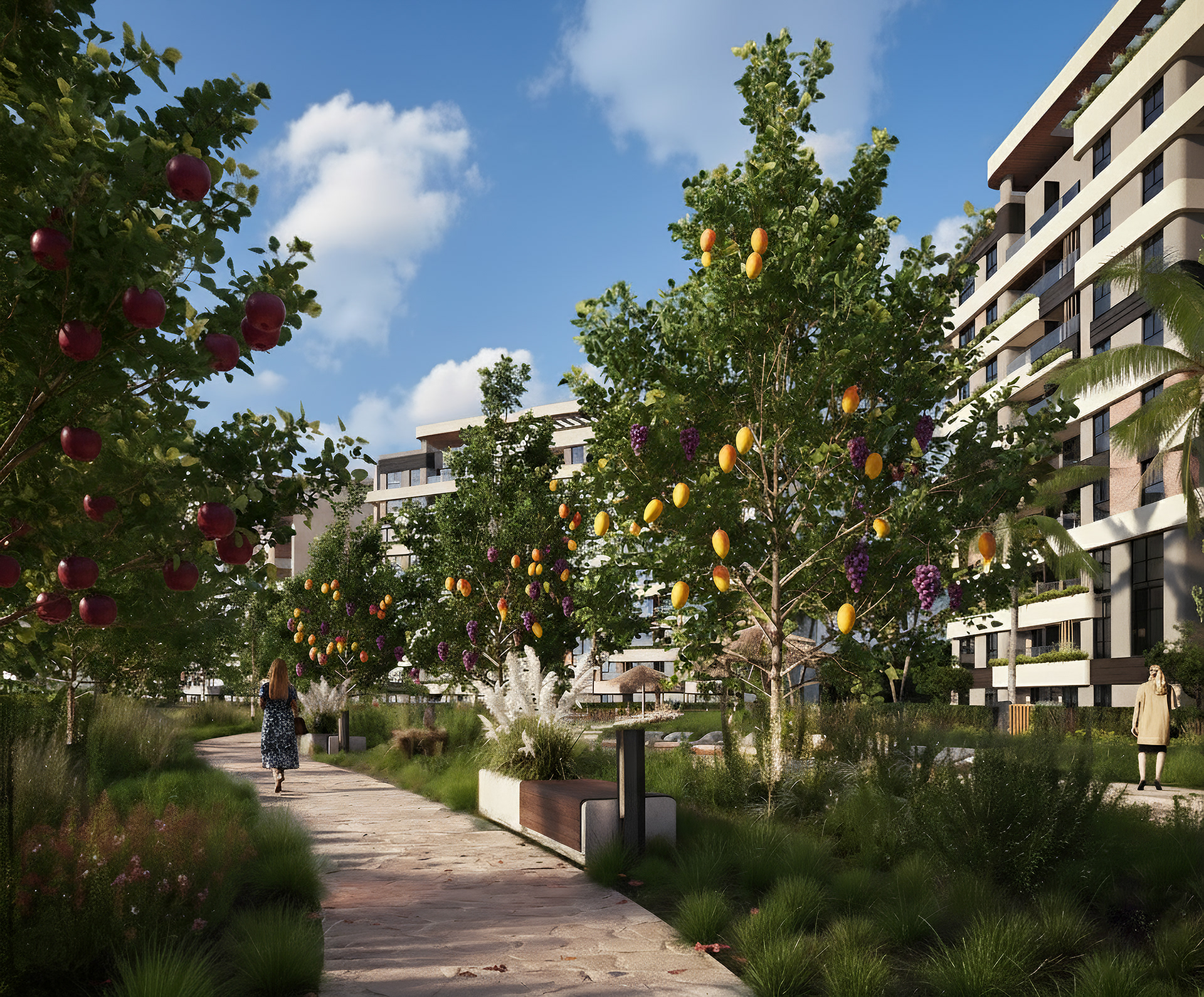 贤哲复合新资本丨埃及-30