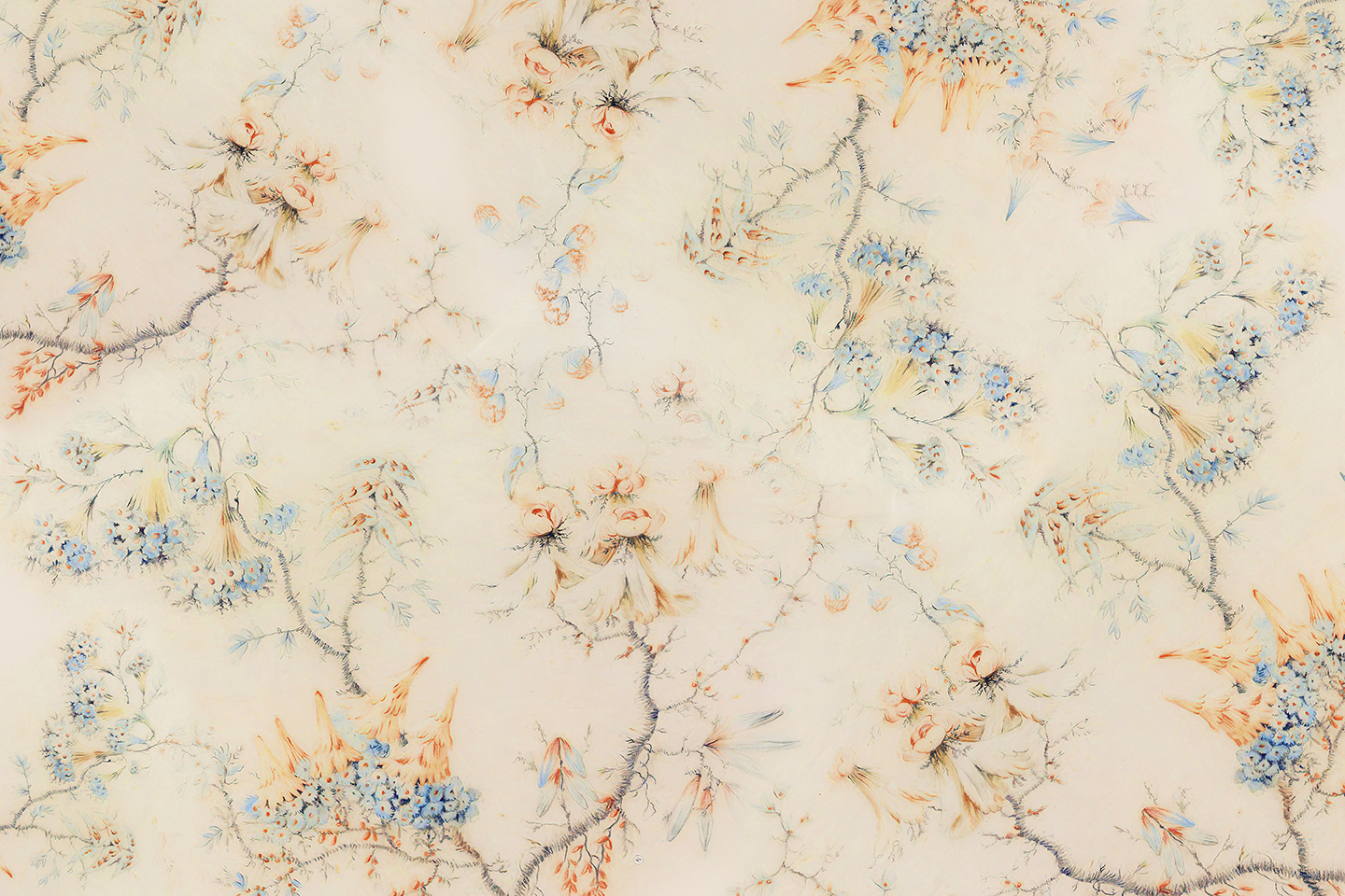 "Gentle flower branches"壁纸设计-8