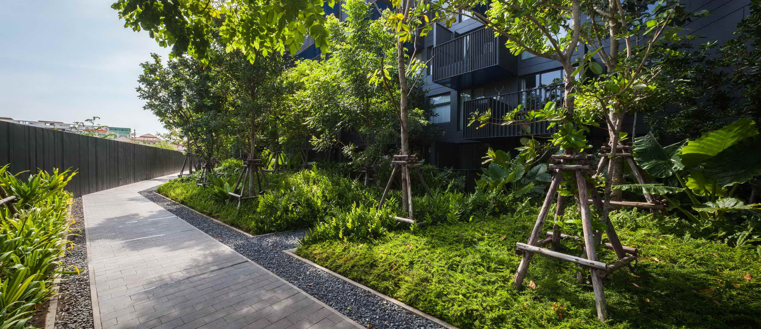 泰国普吉岛 The Deck Patong 公寓 | 融入自然的景观设计-31