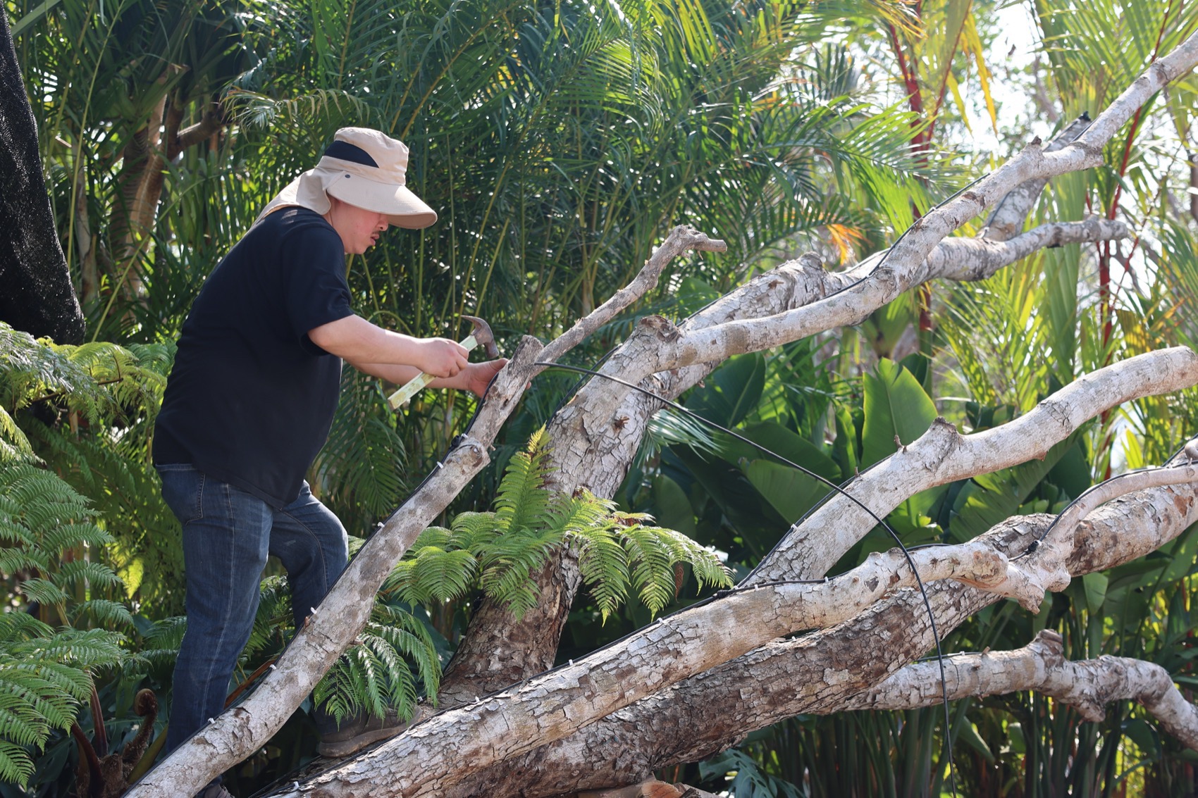 三亚海棠河生态公园阔叶浅溪段的花境生态营造丨中国三亚丨LOLA景观建筑设计事务所-79