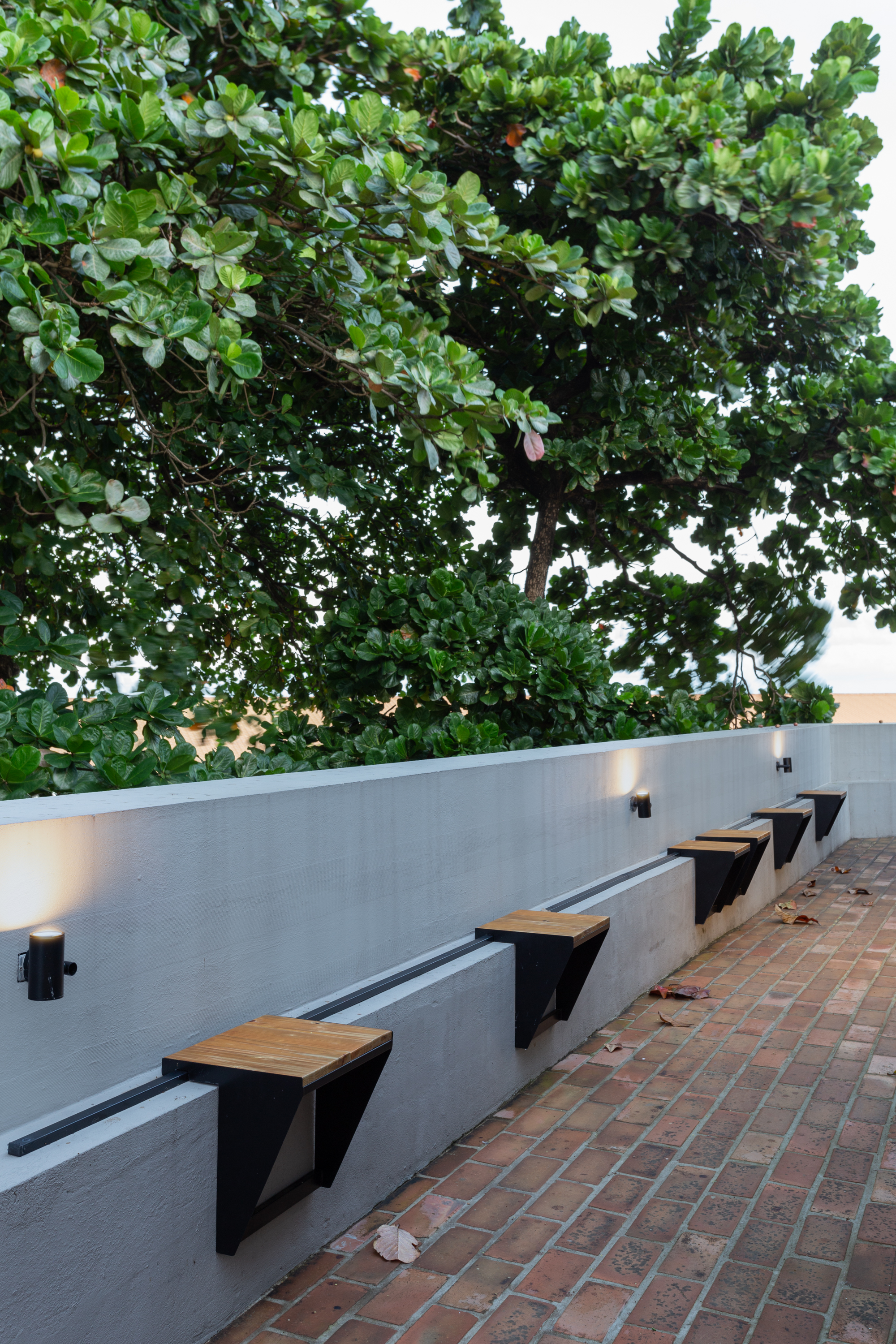 丨巴西伯南布哥-125