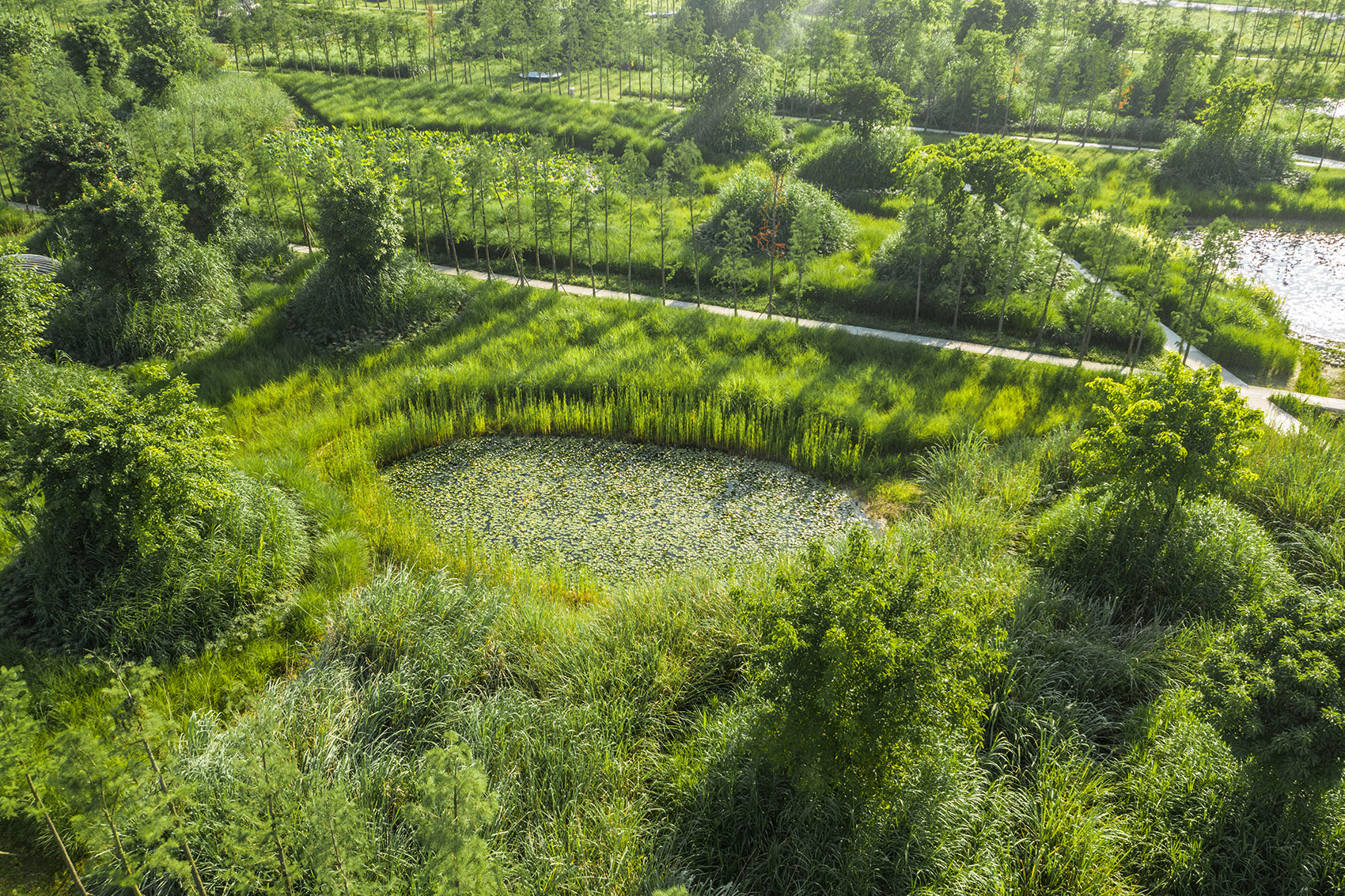 重庆潼南大佛寺湿地公园 / 土人设计-85
