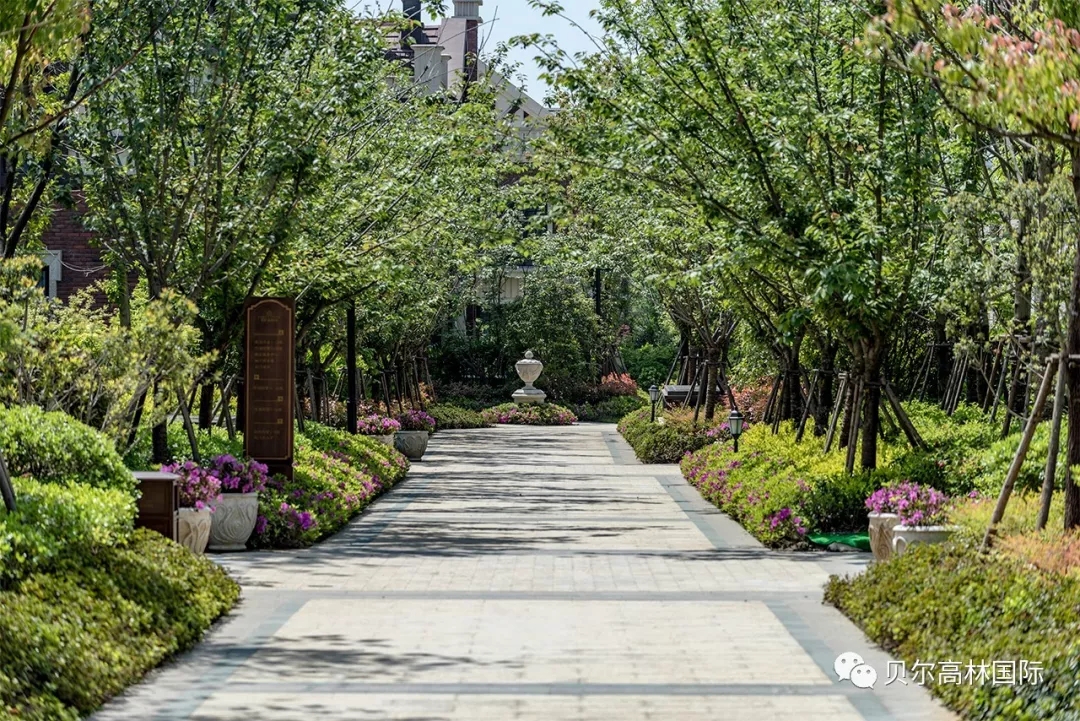 合肥新华•御湖庄园-48