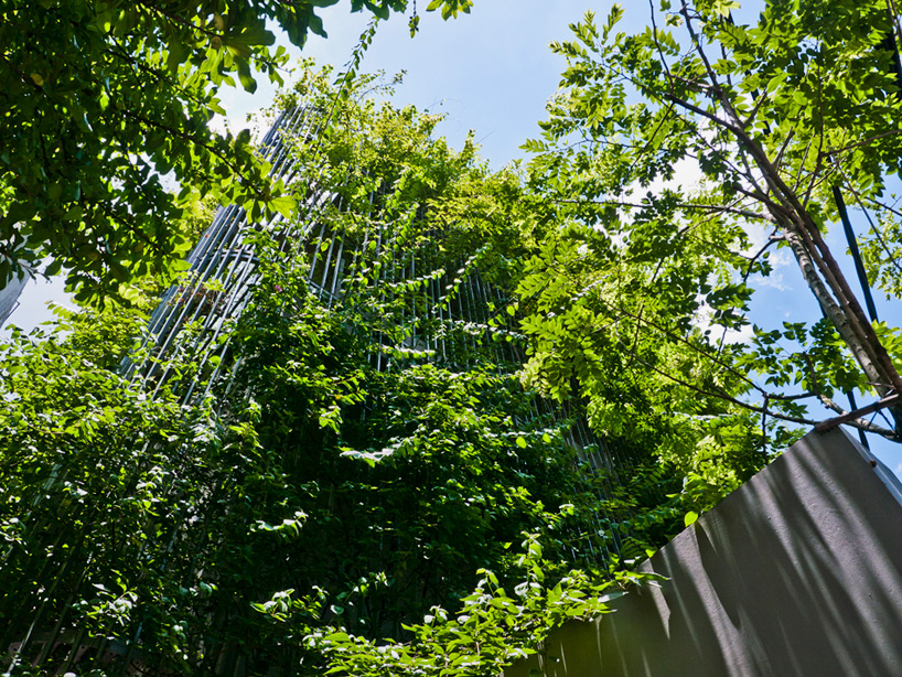 河内绿色瀑布 | 环保与美观的共生住宅-21