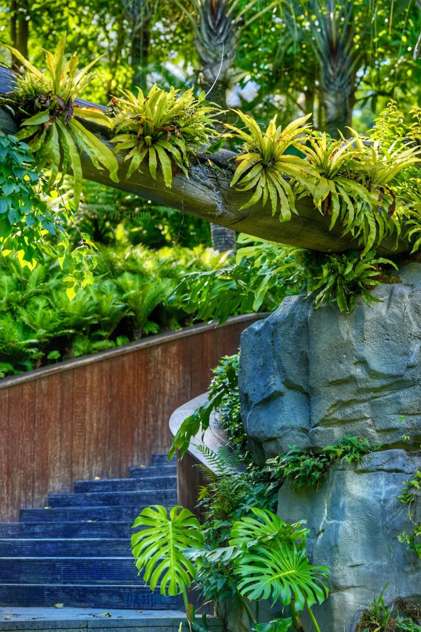 广州云萝植物园丨中国广州丨广州普邦园林股份有限公司-21