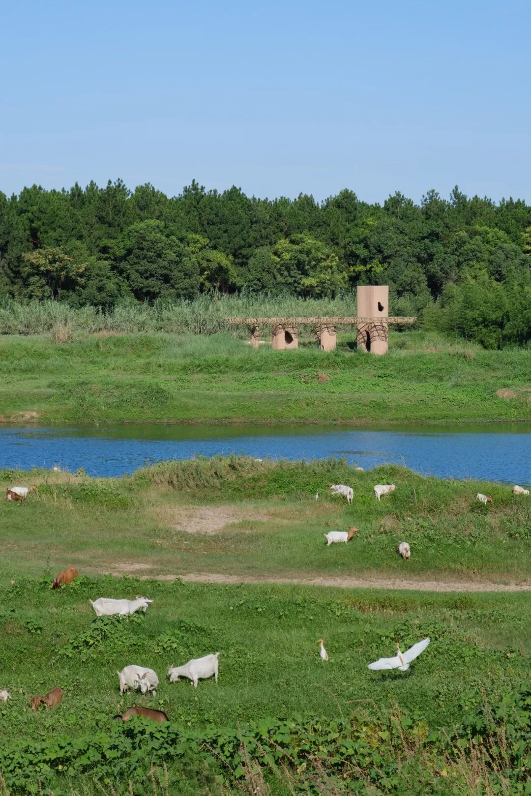 湿地洞窟配套驿站丨中国衢州丨Studio 10-0