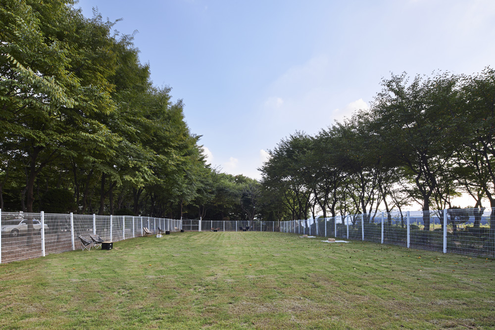 大型平层办公室 | 融合户外运动场的创新设计-30