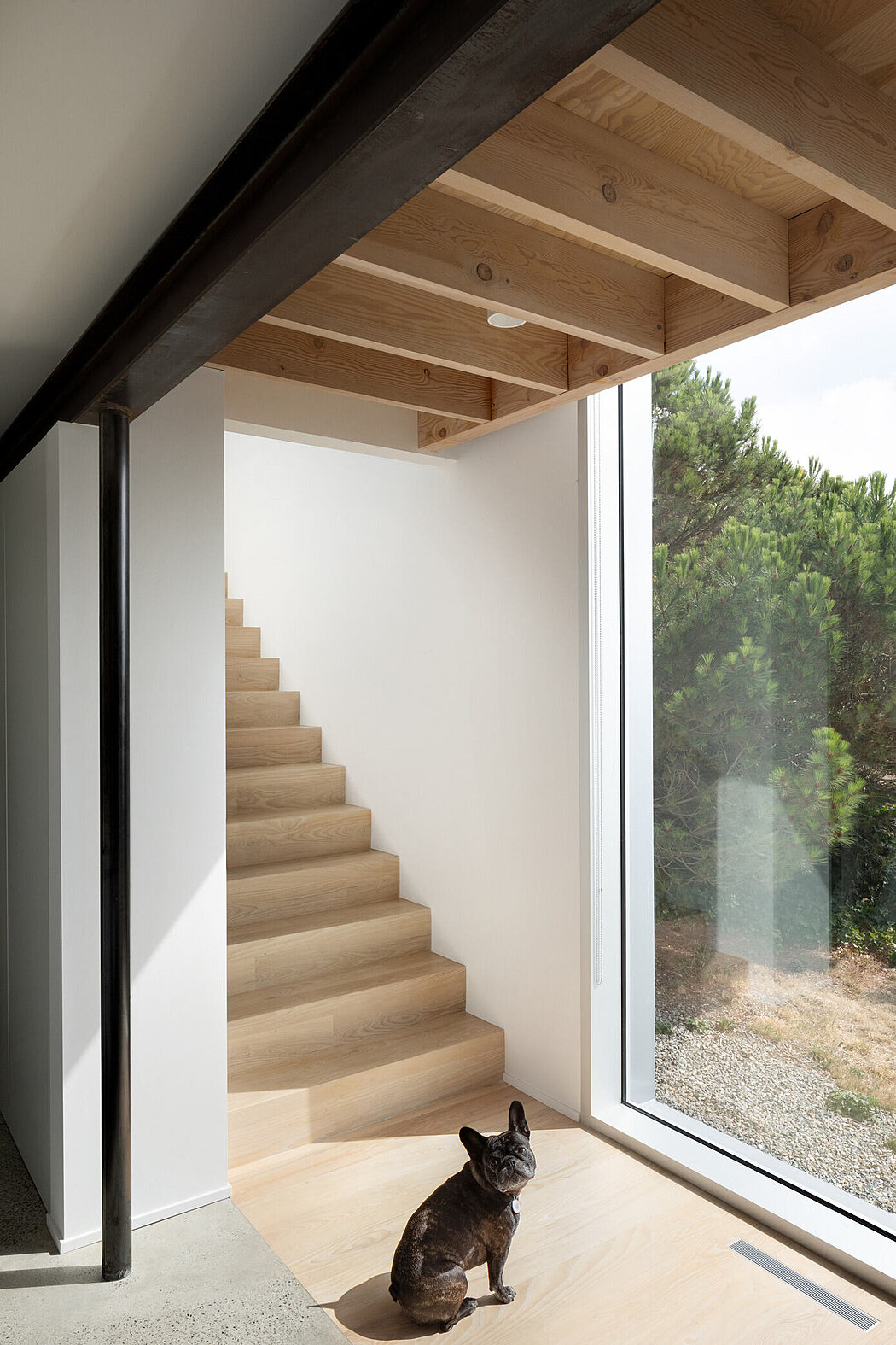 White Rock 海滨住宅丨加拿大丨Andrea Mclean Studio-8