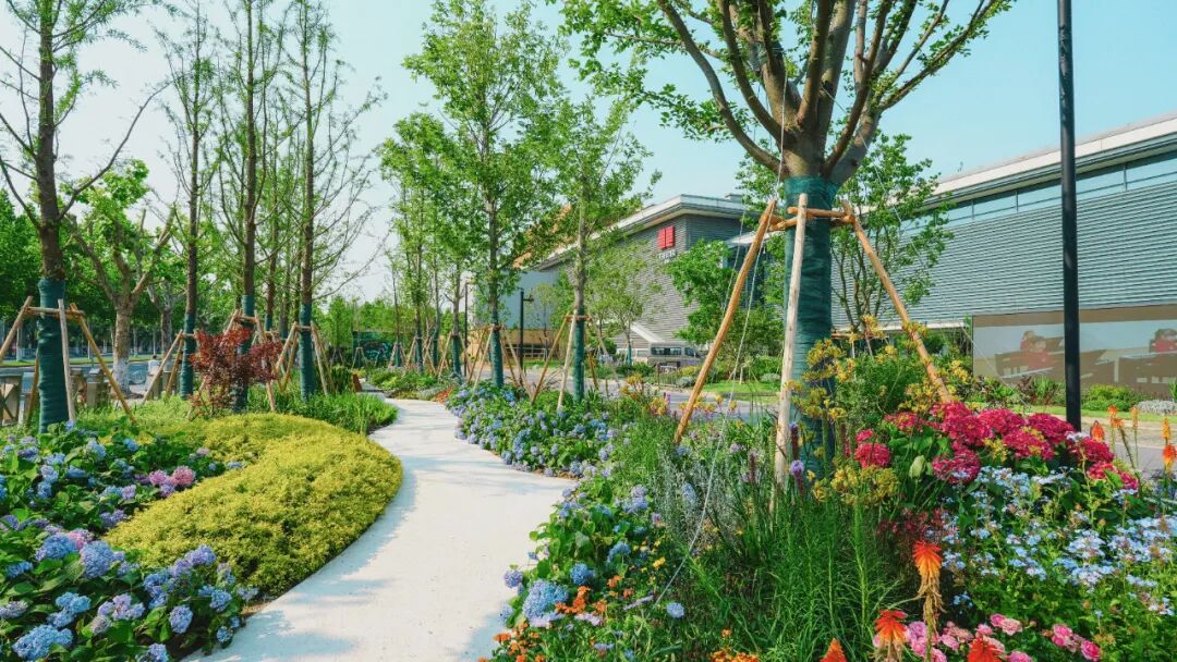 上海建工匠心打造“城市绿色客厅”，浦东“四馆一园”公共空间焕新-23