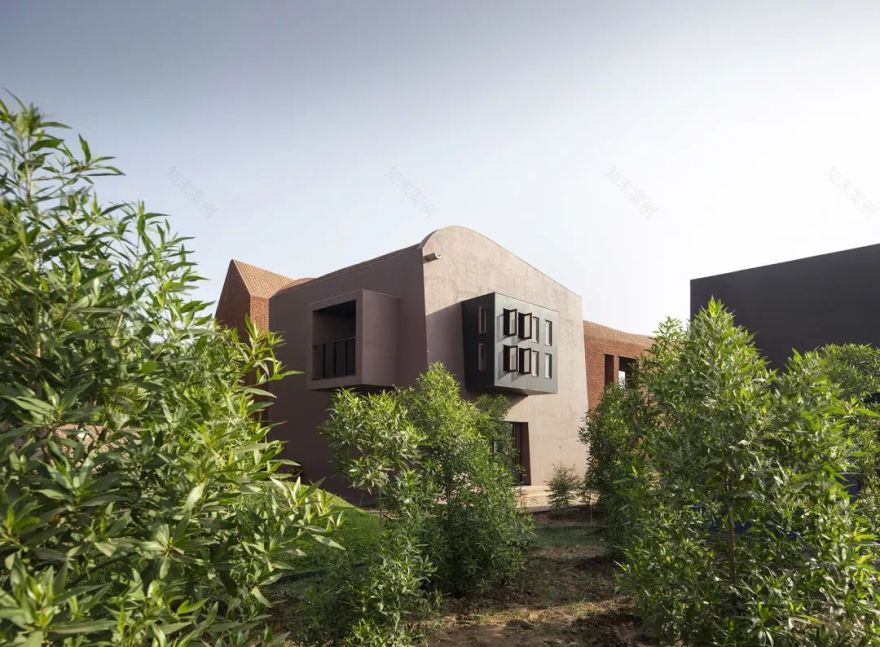 印度 Bhadran 中学,自由创意的嬉戏天堂-31