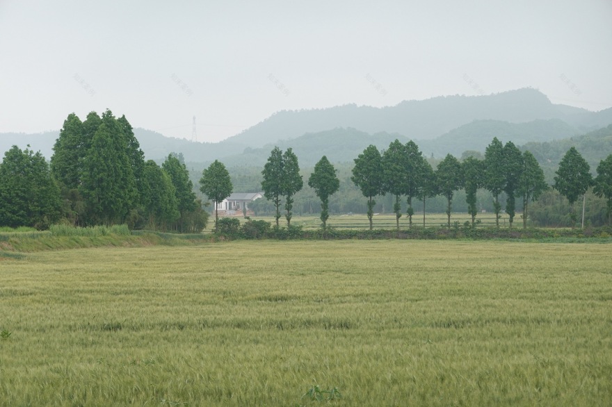 四边庭·文化地理单元实验室丨中国湖州丨ConCom 集良建筑事务所,东南大学建筑设计研究院-33