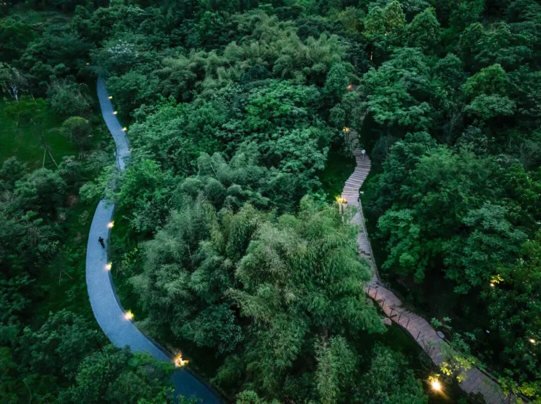 城市掌心的生态山野——麓野公园-255