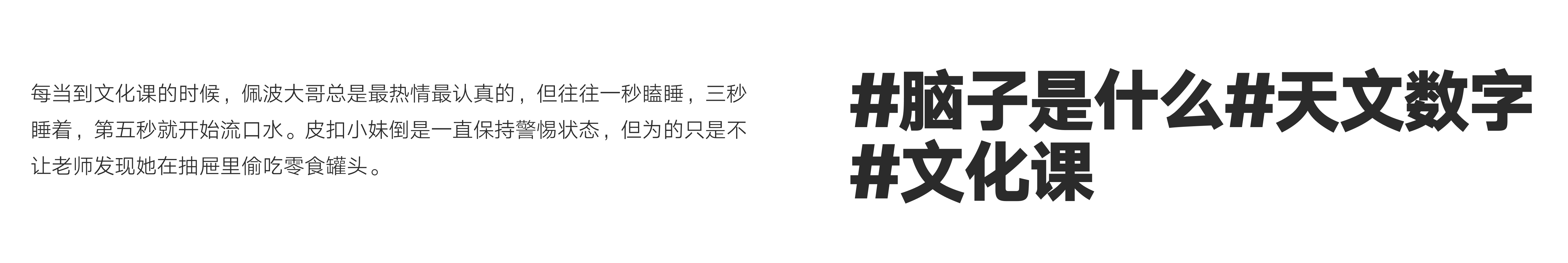 WILLPET宠物品牌IP设计·Pepper&Picco丨whateverbrand-13