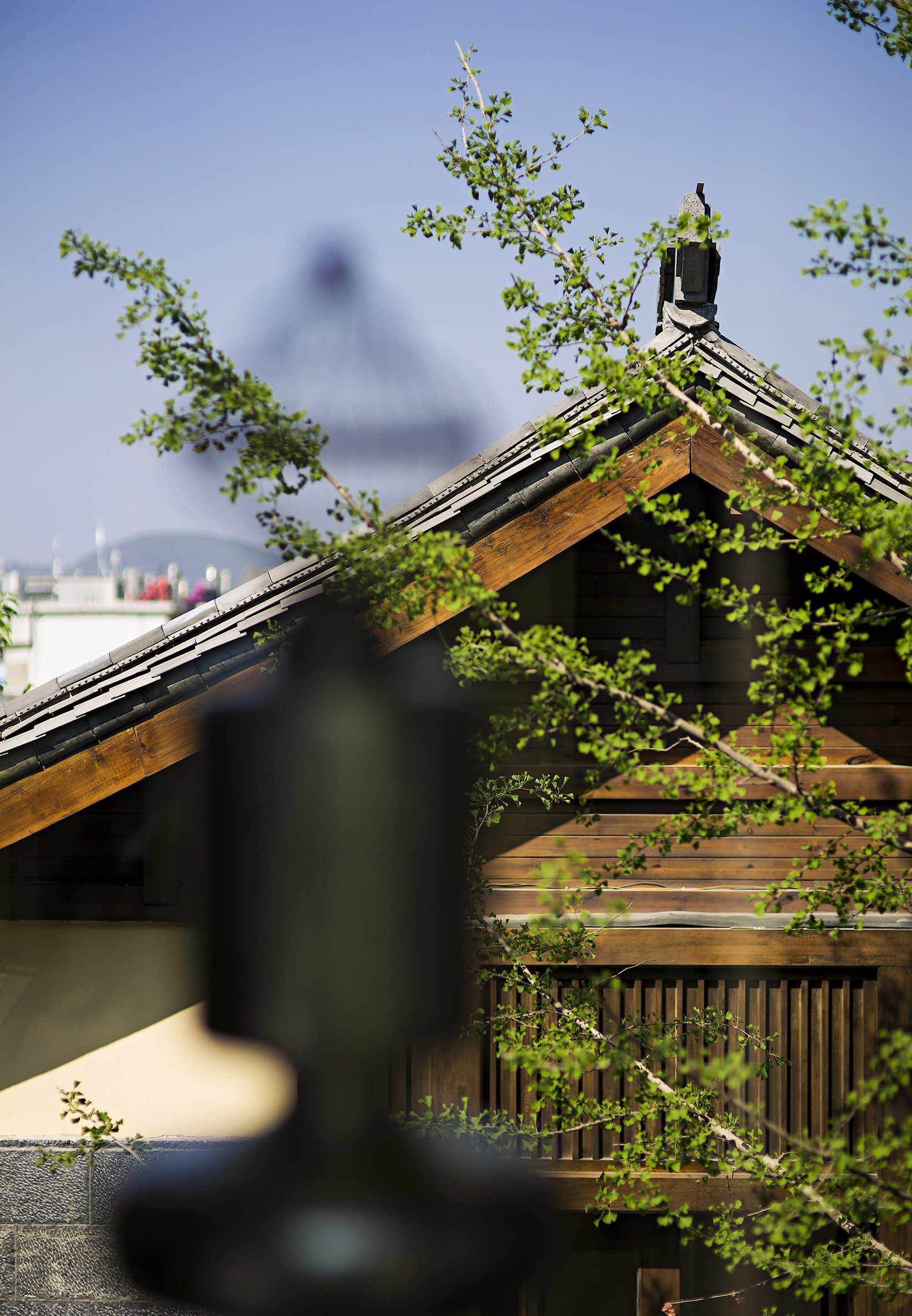 高清+梁志天麗江瑞吉別墅戶型IV新古典-35