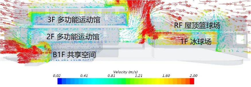 雄安新区容东综合运动馆丨中国河北丨同济设计TJAD-50