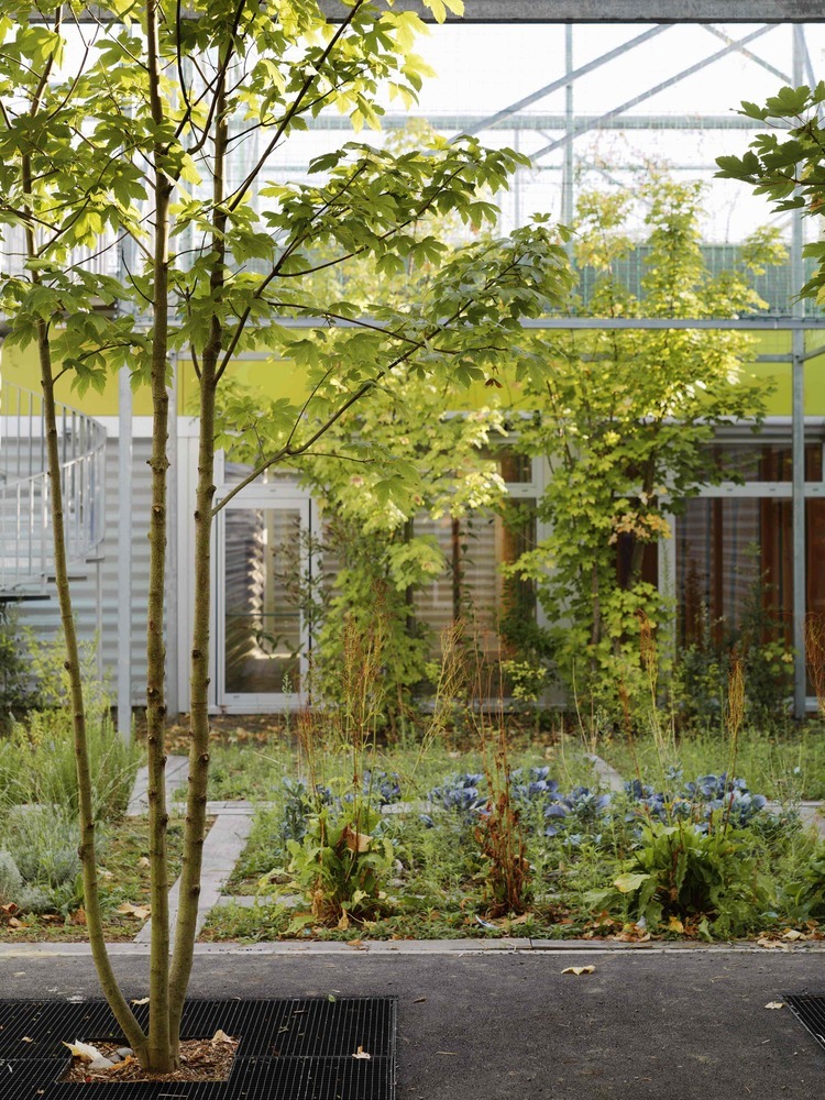 科内瓦尤学校环保设计-37