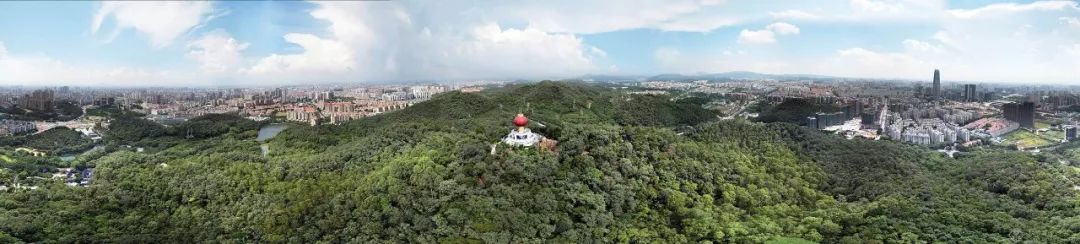 东莞中海莞府 | 都市轻奢,精致生活-2