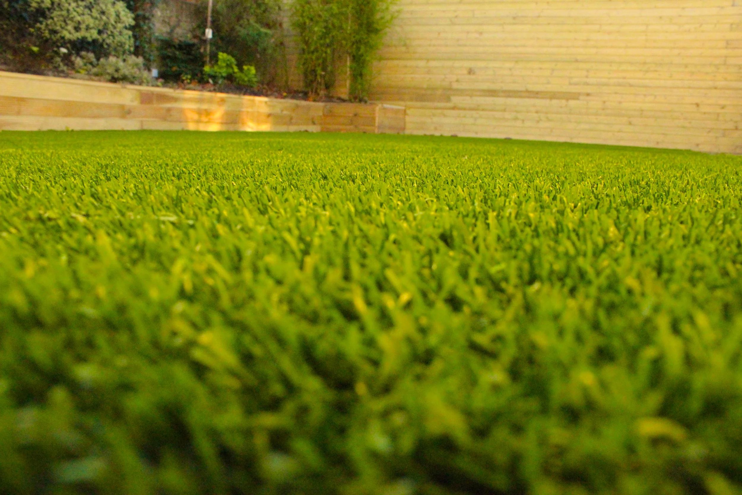 Ranelagh Artificial Lawn — Amazon Landscaping and Garden Design--44