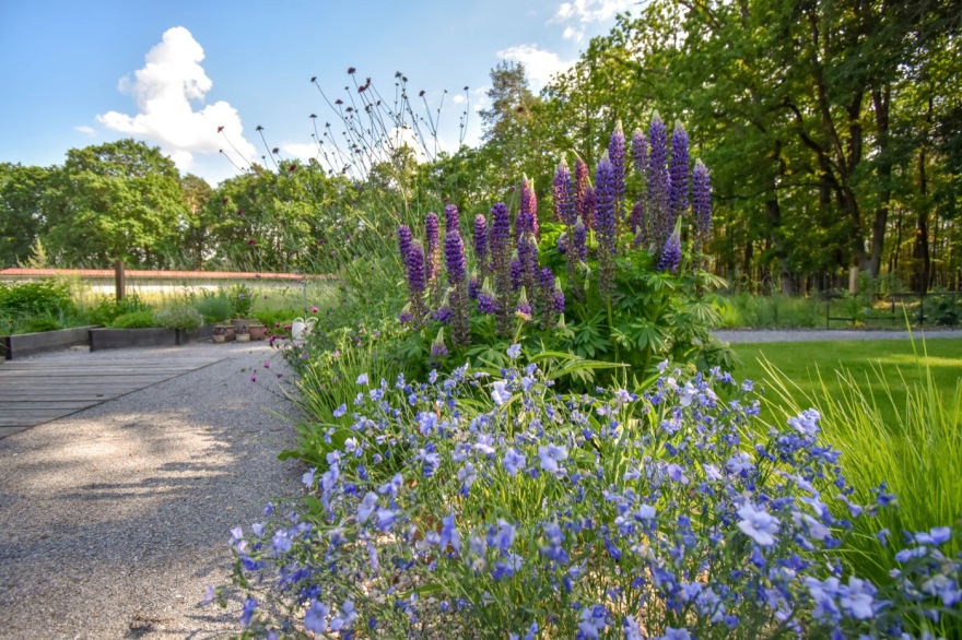 自然之境 · 现代乡村家庭花园-13