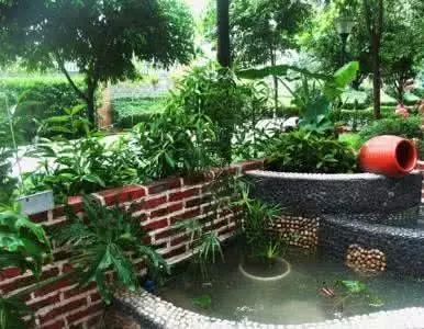 这才叫生活!成都夫妻改造农家小院,为儿子种出一座百草园!-9