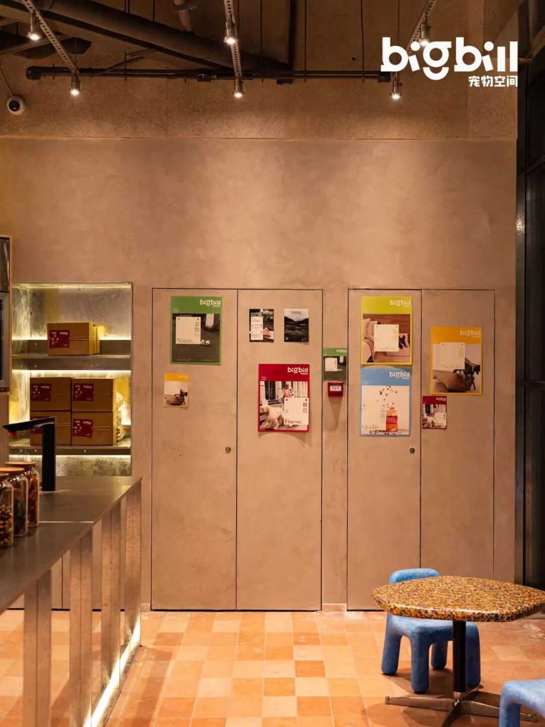 立衡中灯光实景xBIGBILL宠物店-16