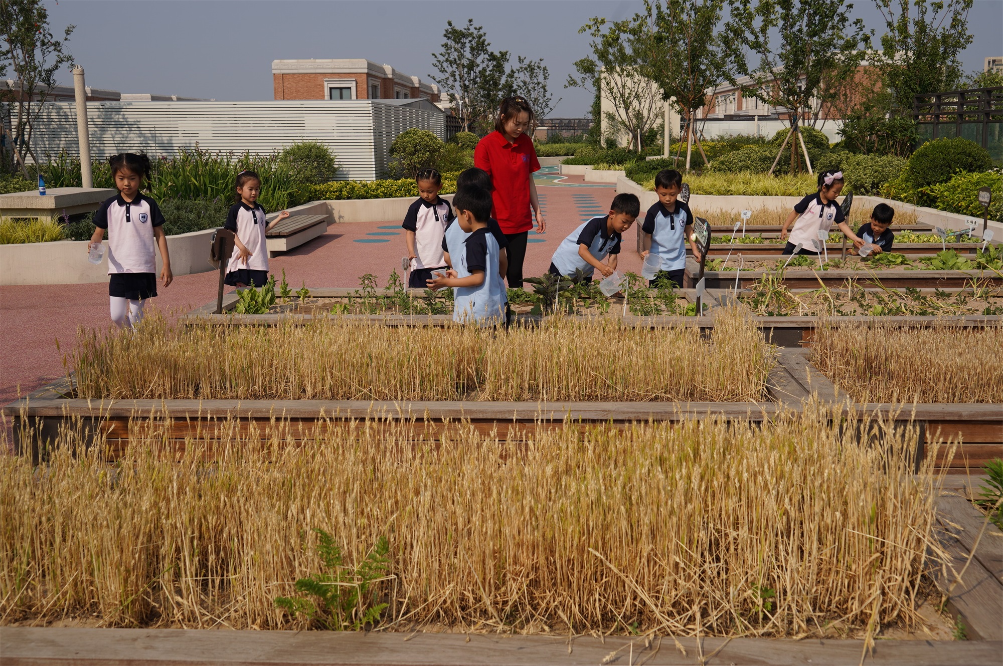 一八学校幼儿园（理想国校区）丨中国郑州丨翰祥景观-93