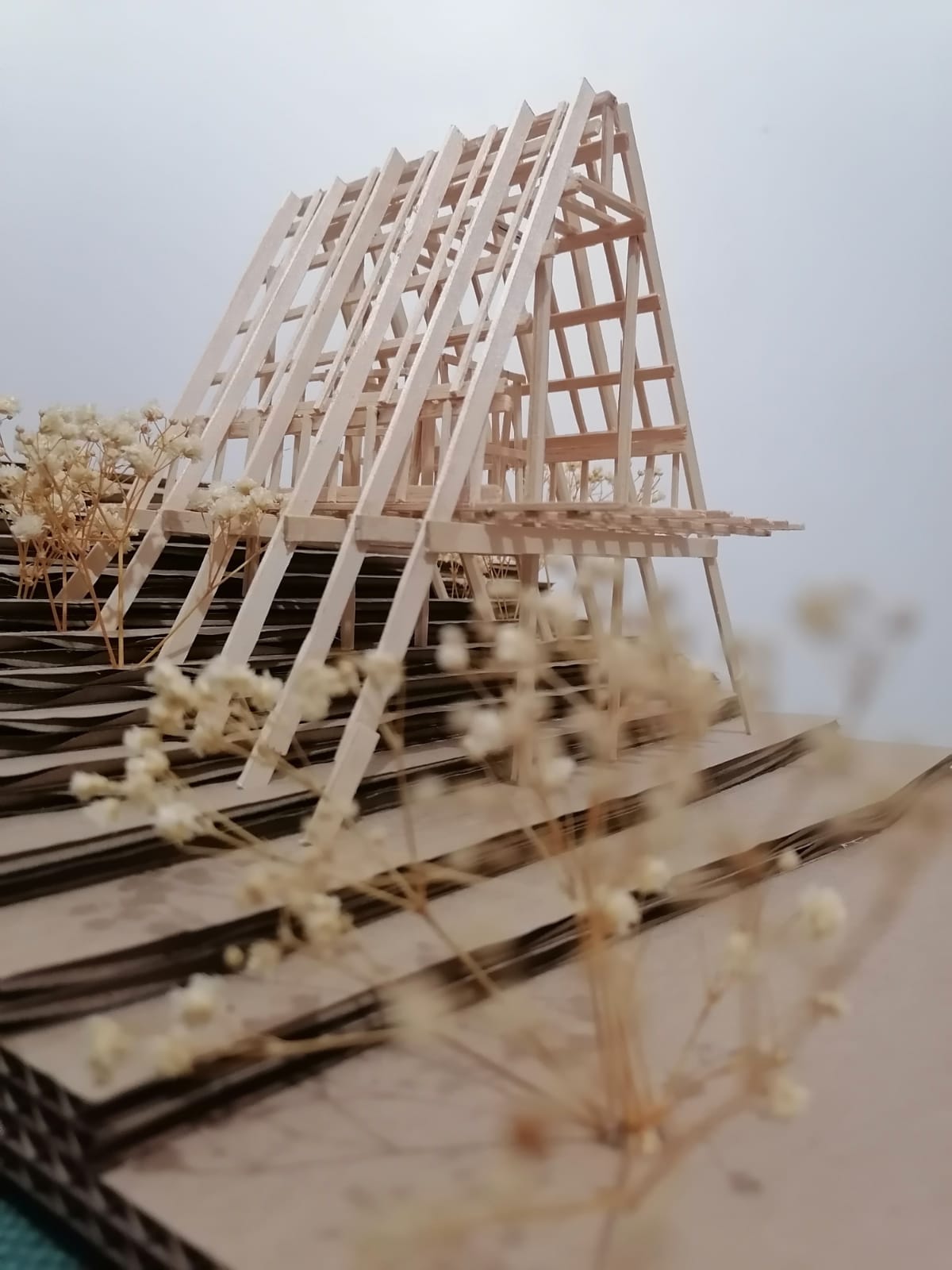 阳光房丨PAYÁN ORTEGA ITZEL-41