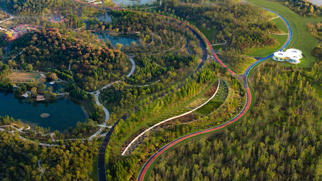 合肥骆岗公园景观设计丨中国合肥丨泛亚景观设计（上海）有限公司-80