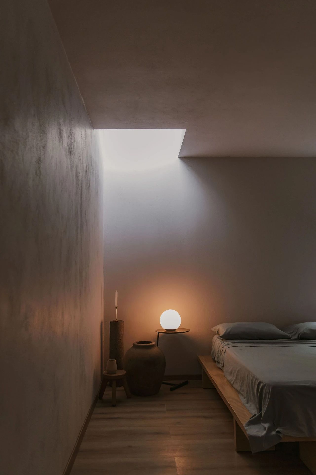 蕨类植物丨墨西哥丨Taller Hector Barroso-31