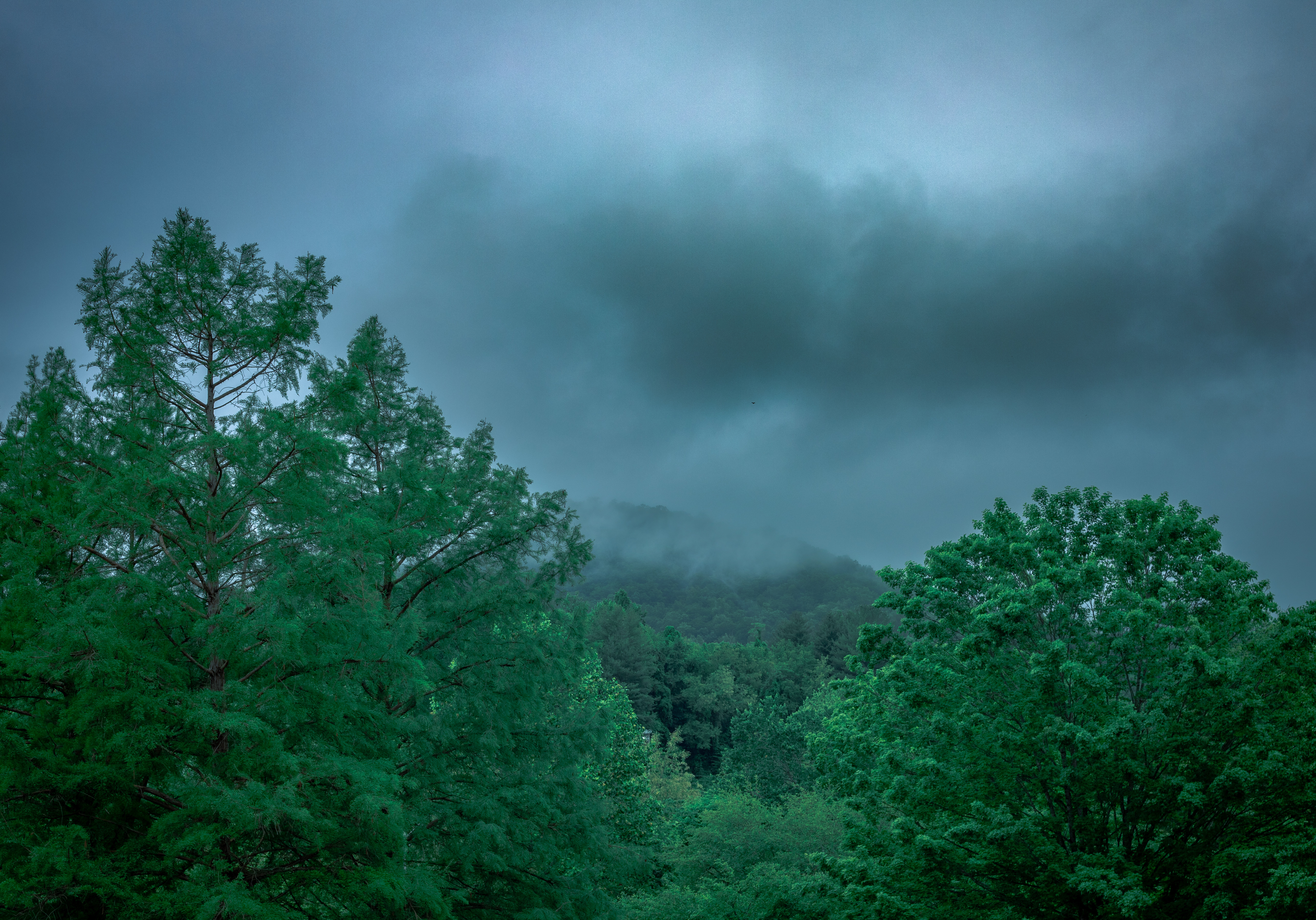 无明确项目名称丨无相关信息-2
