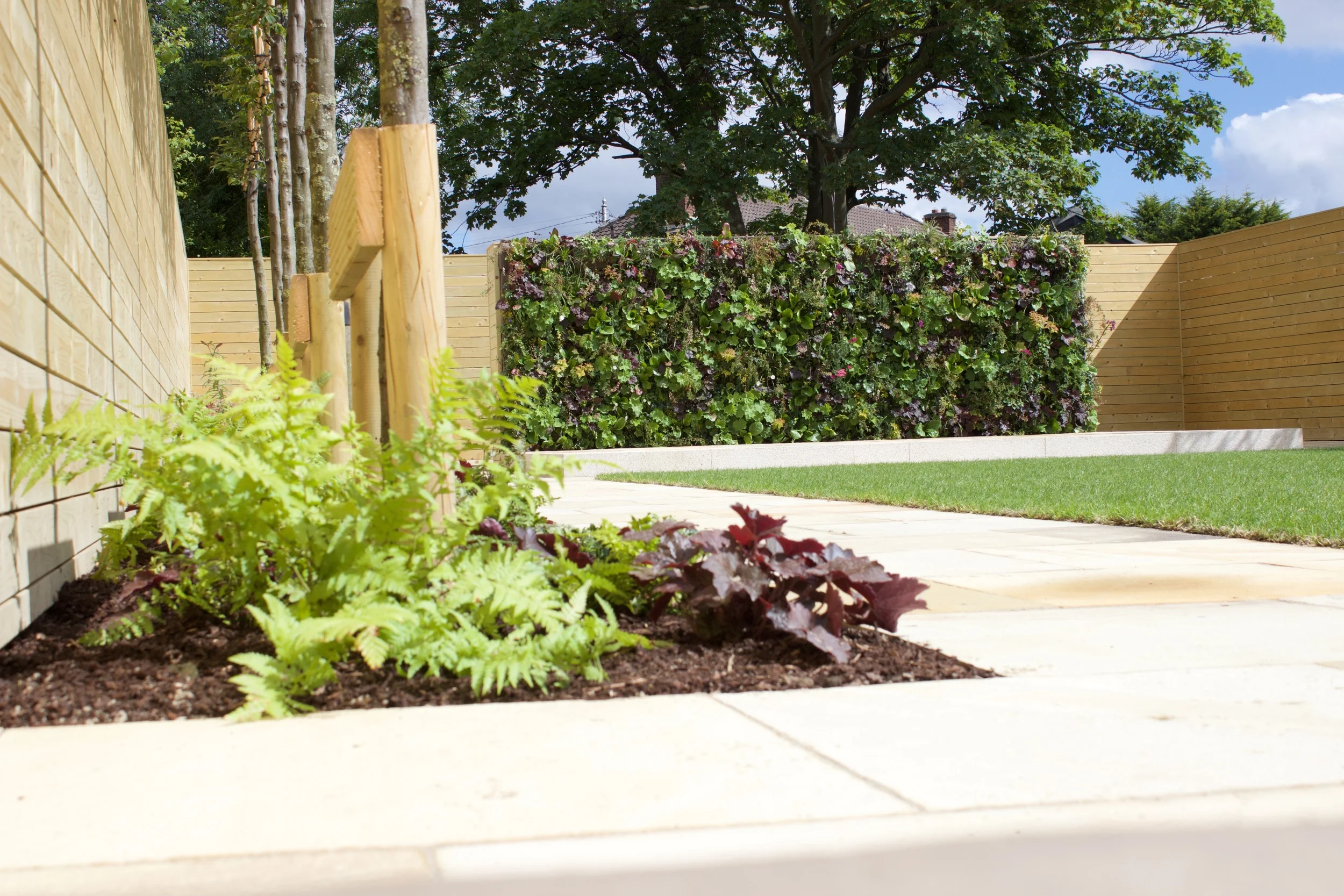 垂直绿墙花园丨爱尔兰都柏林-45