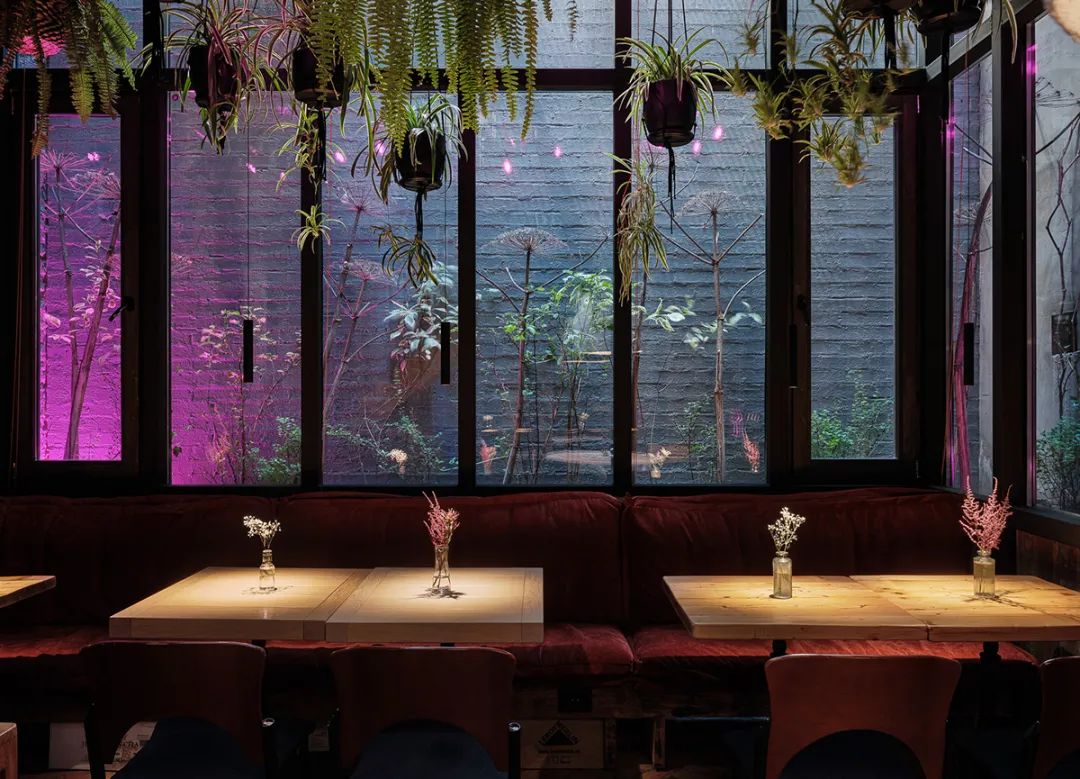 野性格鲁吉亚餐厅设计-18