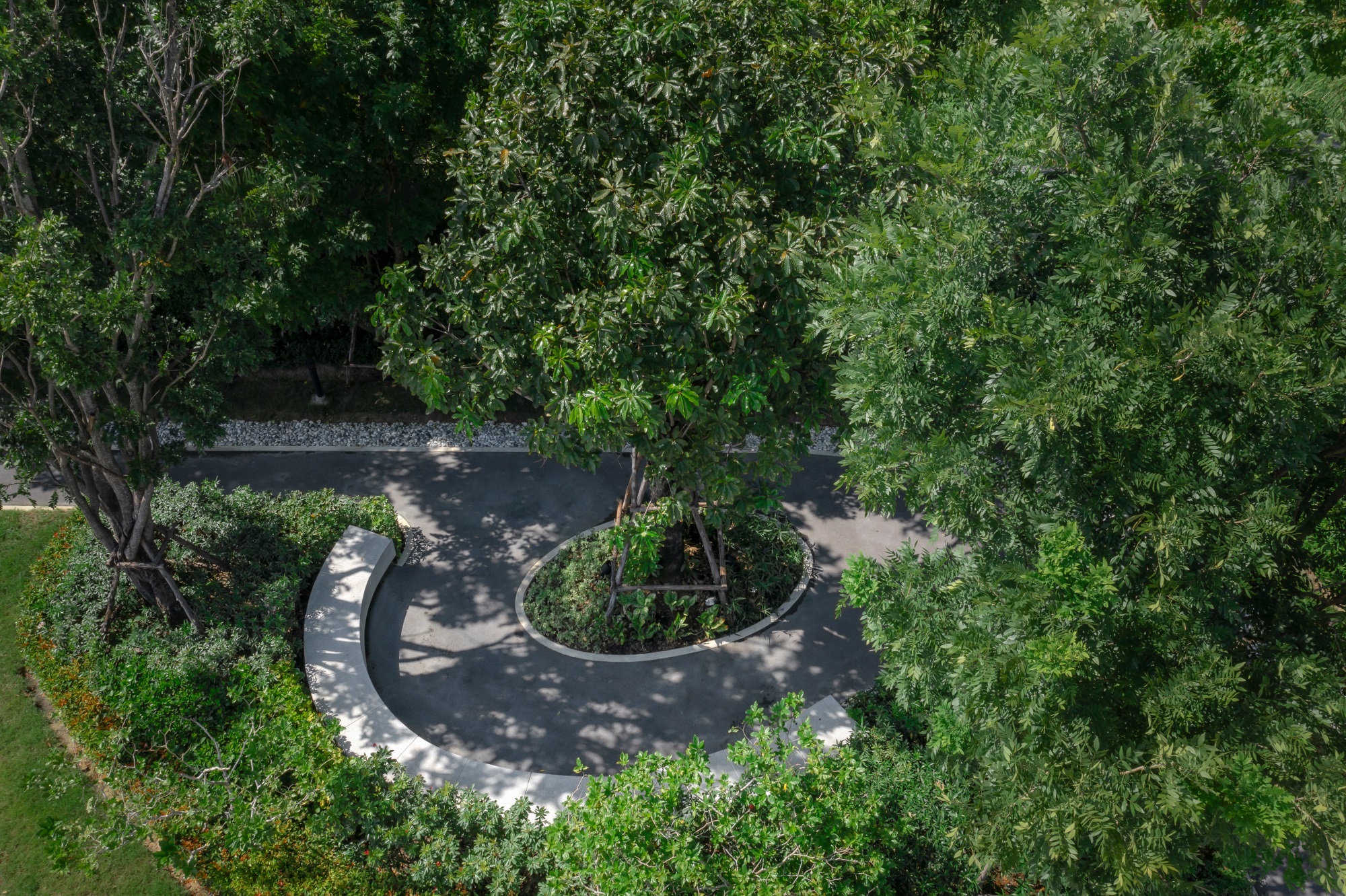 川春镇兰实空 3 区丨泰国巴吞他尼-61