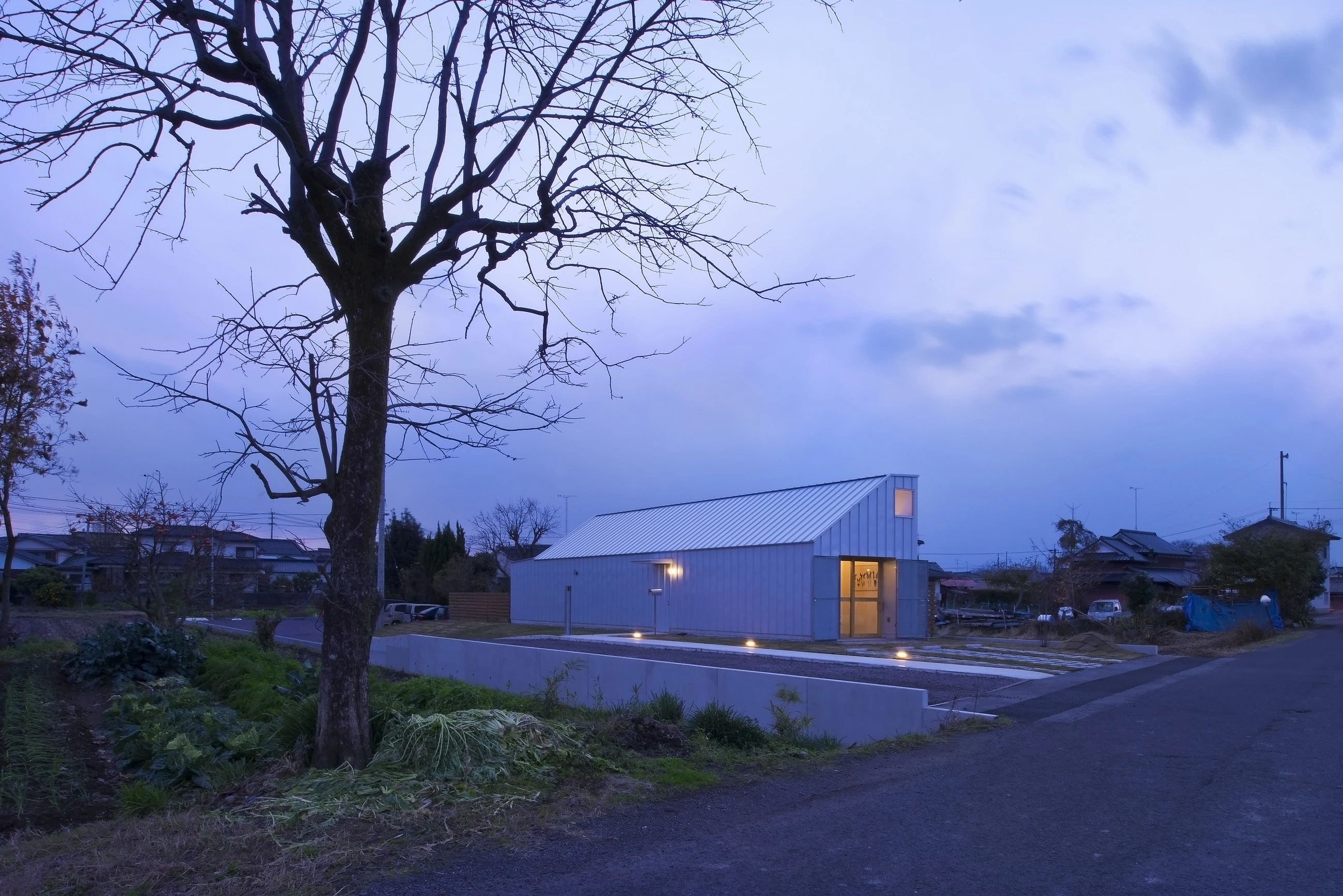 日本稻田中的“狗沙龙”住宅-8