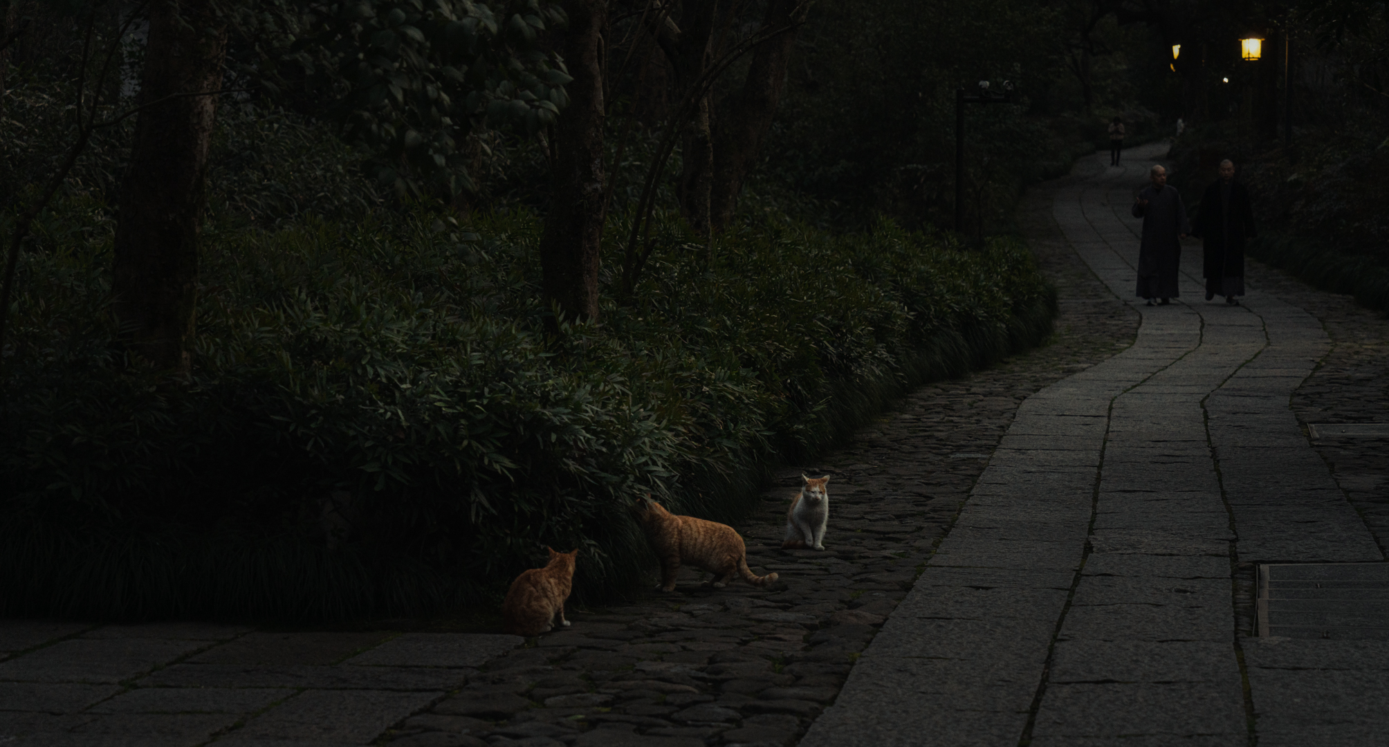 灵隐寺和永福寺丨中国杭州-26