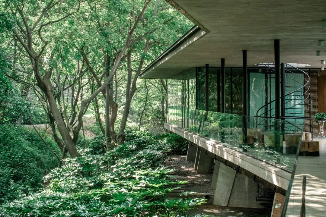 四方音乐岛开放预约！大江北岸新地标，限时免票登岛-70