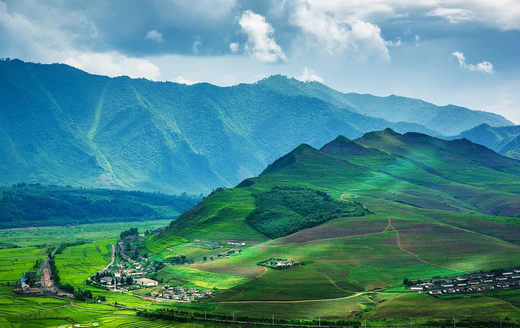 自然主义家居设计 | 释放野性与自然之美-0