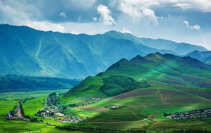 自然主义家居设计 | 释放野性与自然之美-0