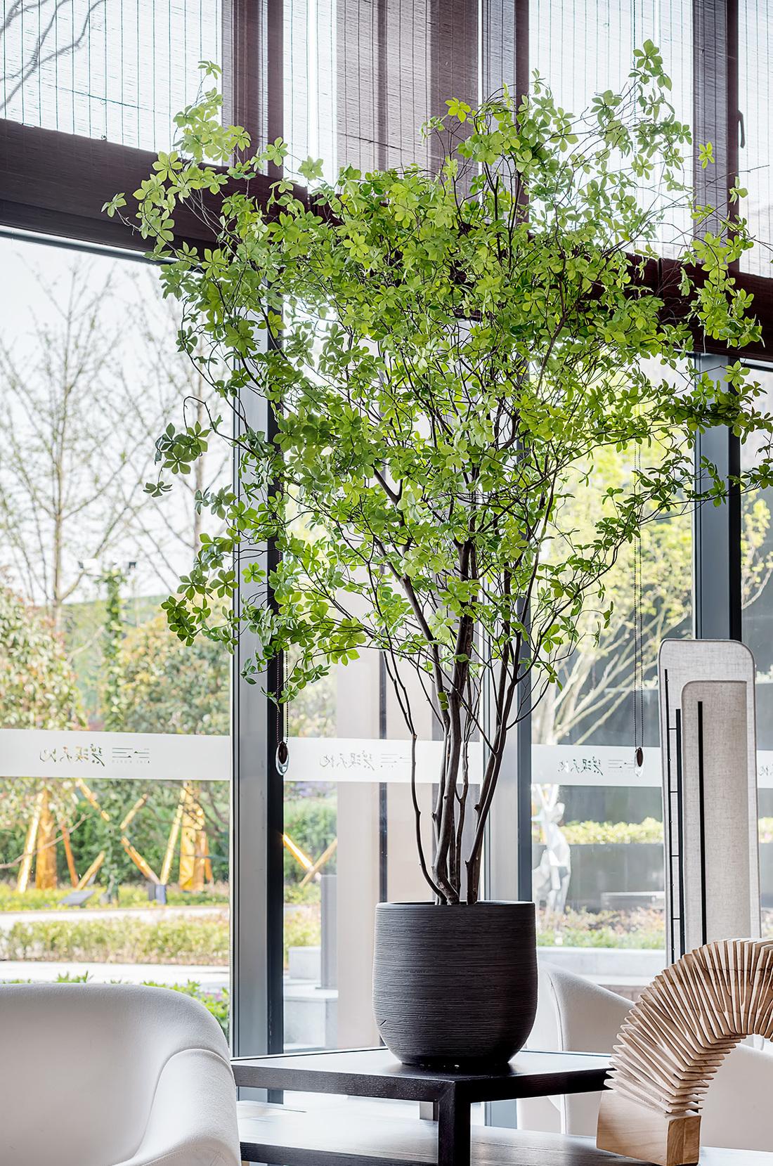 诗意安陆碧溪天地-19