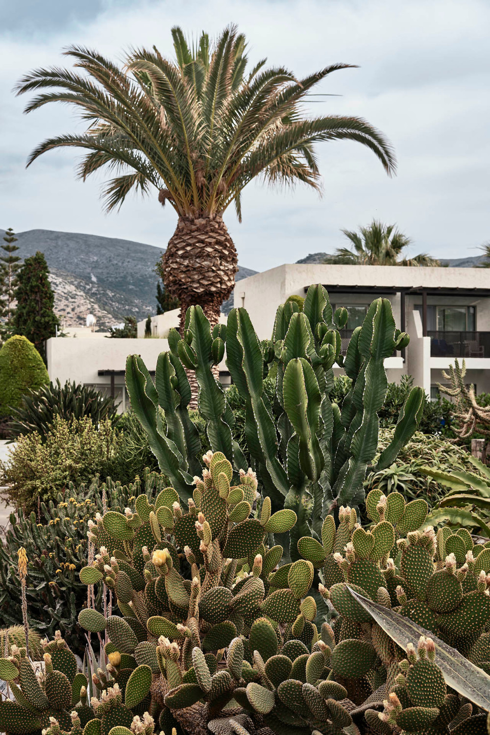 克里特岛玛利亚公园酒店,绿色环保的设计理念-84