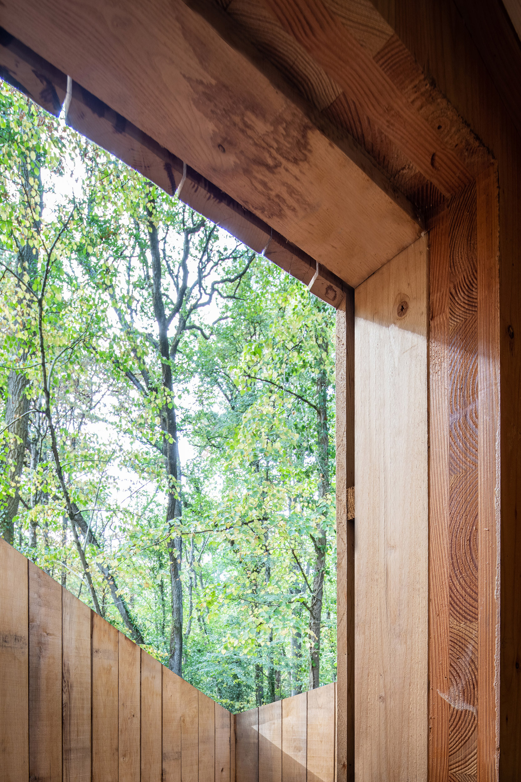 Wooden House  / locallll + SUPHASIDH-39
