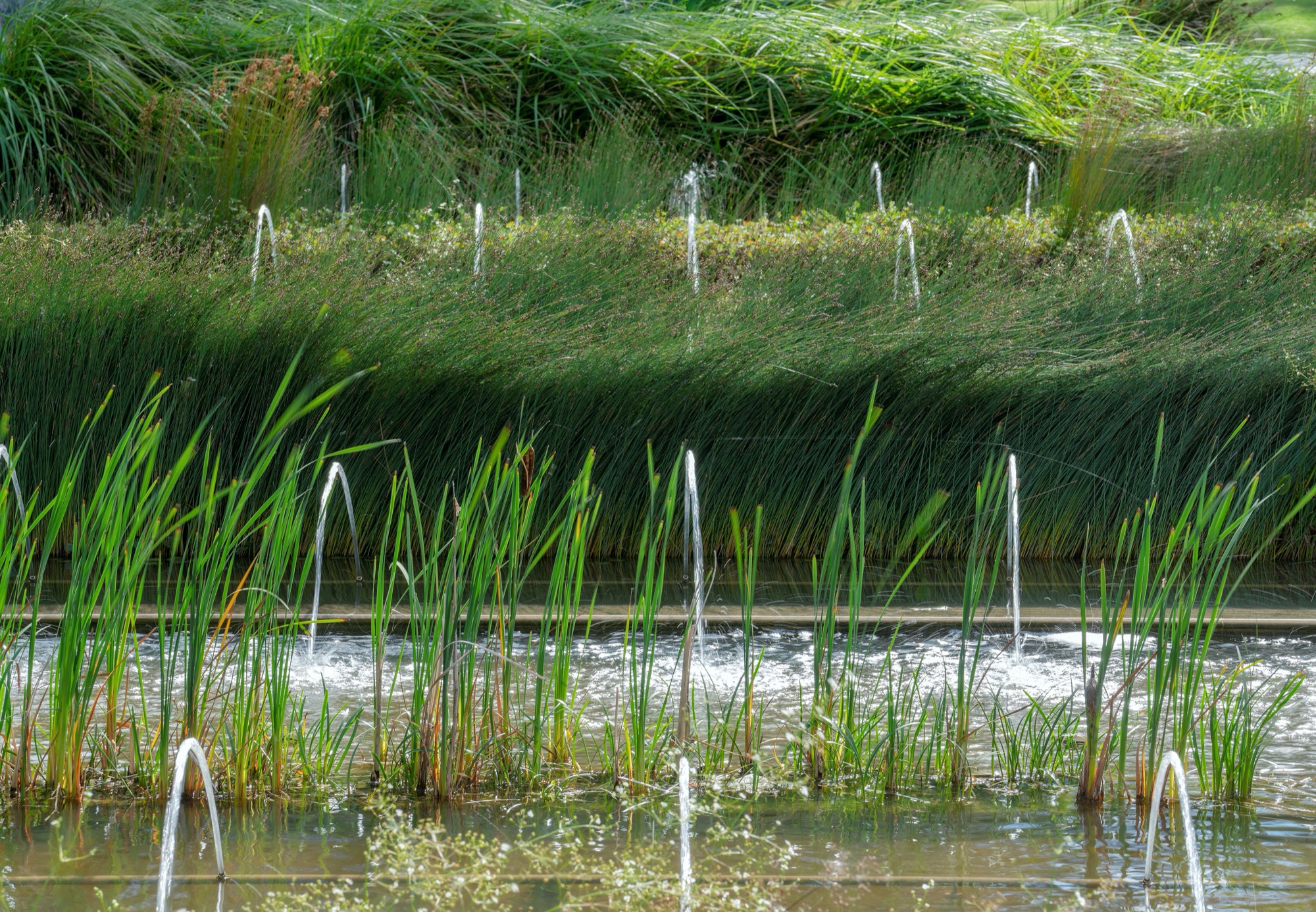 Monash 大学论坛景观设计丨澳大利亚丨TCL+Peter Elliot Architecture-7