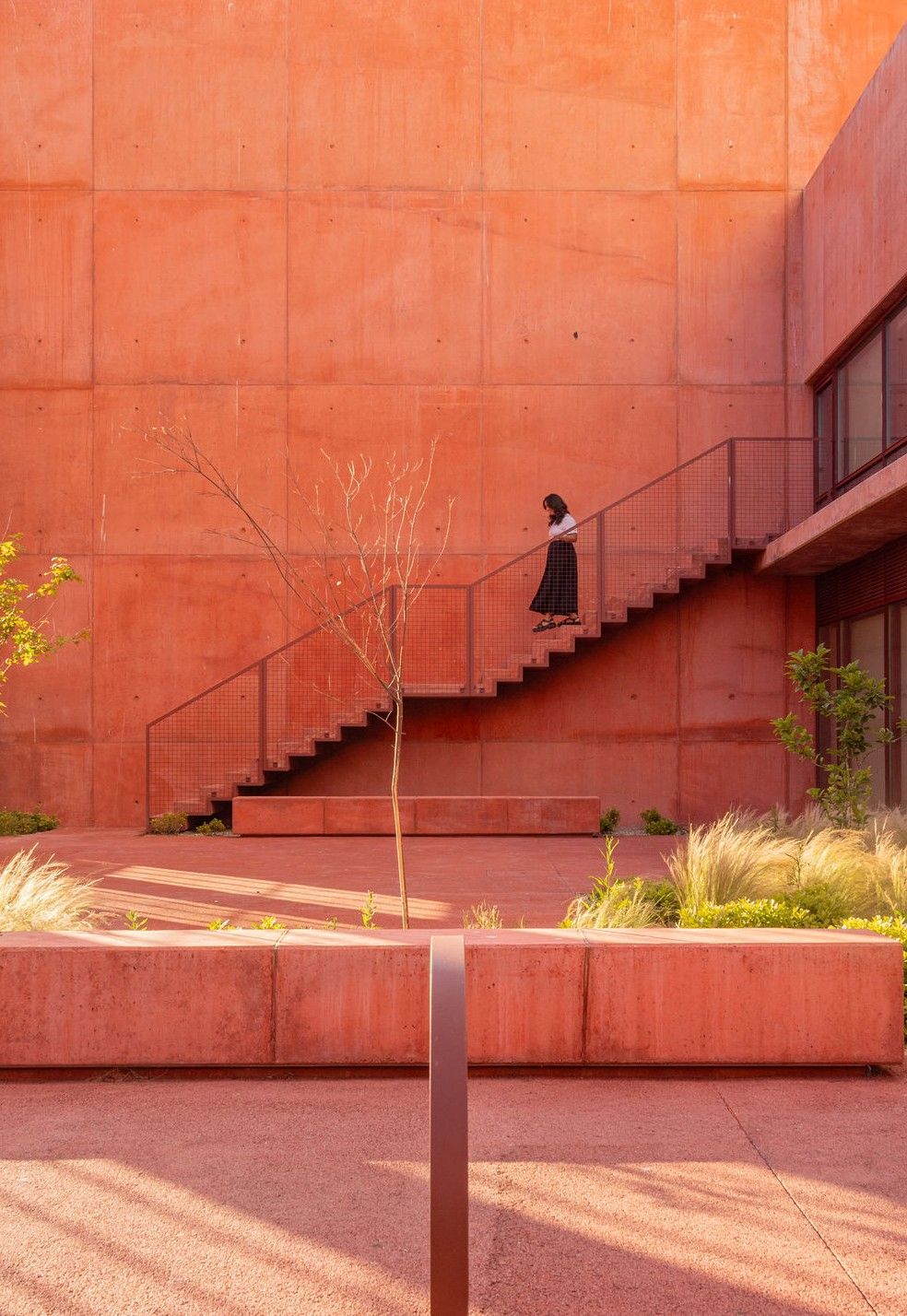 罐头厂外立面改造丨葡萄牙丨OODA-12